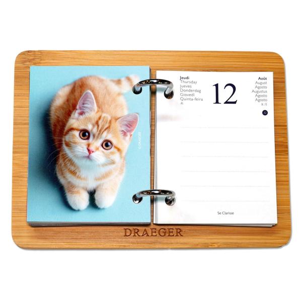 ドレジャー 2027年 365日日めくりカレンダー CATS 猫 卓上 スケジュール管理 祝日シール付き