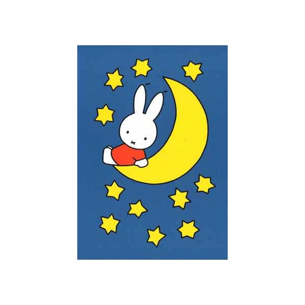 ポストカード ミッフィー ディック・ブルーナ ミッフィーと夜空 キャラクター 動物 かわいい イラスト