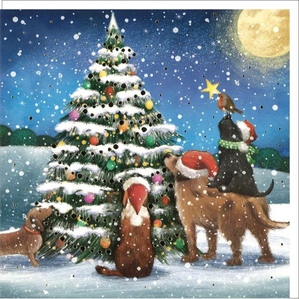 ウメちゃん✩.*˚　おまとめ出品　オンガード&ティーツリー ウメちゃん✩.*˚様専用 おまとめ出品 オンガード&ティーツリー