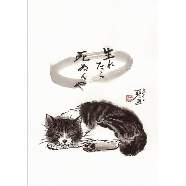 猫を吸いたい【裁断済み】歯のQ&A大全　（表紙カバー無し） yujinia-yh_hw-021