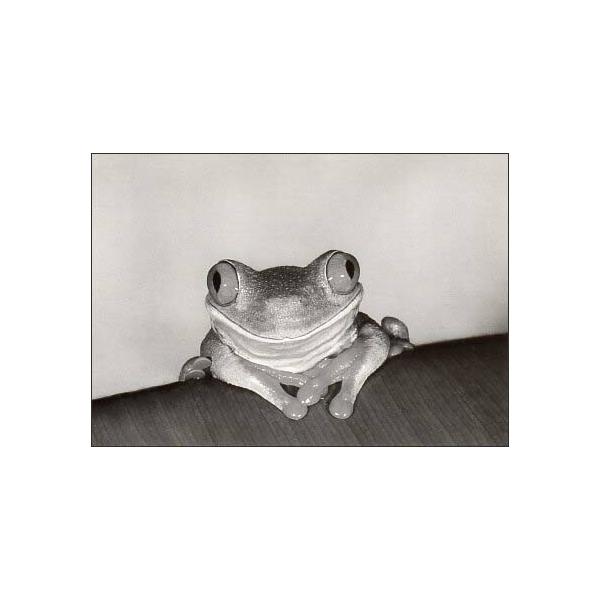 マユリカ　うな夢　CD-BOX 、コレクションカード 、写真、カエル、シール 0_63fc0f25cf0a38e4a0c47707b8eb