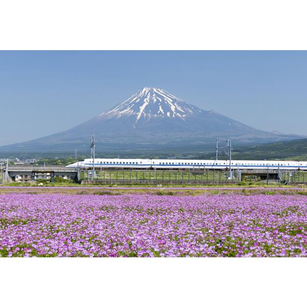 ポストカード 日本風景シリーズ 新幹線と富士山 105×150mm 観光地 名所 メッセージカード 郵便はがき カラー写真