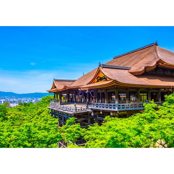 ポストカード カラー写真 日本風景シリーズ 深緑の清水寺 105