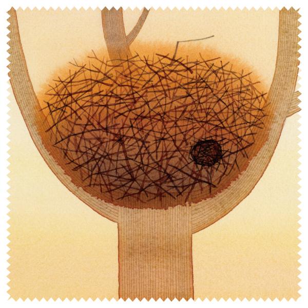 クリーニングクロス 山田和明 モノポの巣 夕暮れ時 150×150mm メガネ拭き