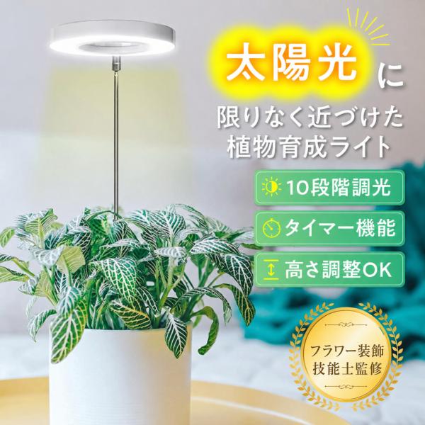 ＼ フラワー装飾技能士 監修 ／ 植物育成ライト 観葉植物 LED ライト 植物ライト 観葉植物ライト 室内栽培ライト 観葉植物LED タイマー スタンド付き