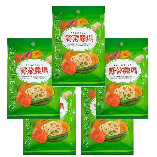 野菜農場 140g (28g×5袋) 6種類の野菜 低温減圧製法 スナック 菓子 揚げ 野菜 野菜チップス サツマイモ レンコン カボチャ インゲン  ゴーヤ 人参