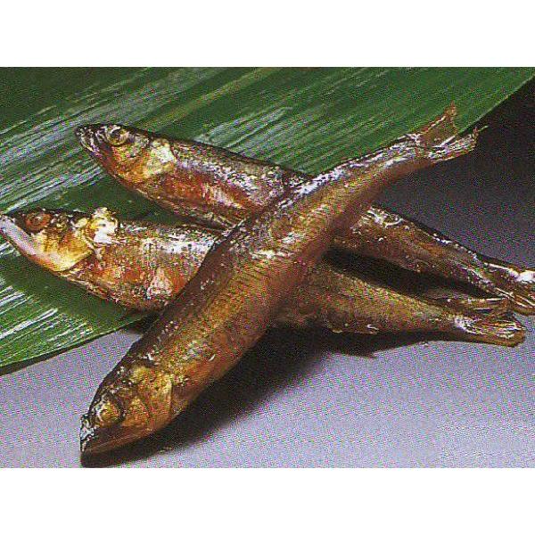 ØI yz250g 65C (6`7cm/C  A ØI) [Ⓚ]