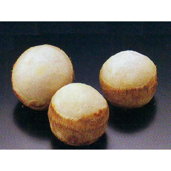 きぬかつぎ M 500g 里芋 さといも サトイモ こいも 冷凍 湯川商店 Yahoo 店 通販 Yahoo ショッピング