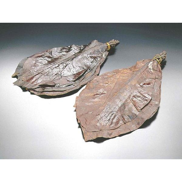 中国産乾燥ホウバ30〜35cm 50枚入20パック