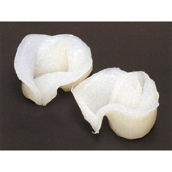 CJt[ 10 yI[huz ( G ׍H Ԃт) [Ⓚ]