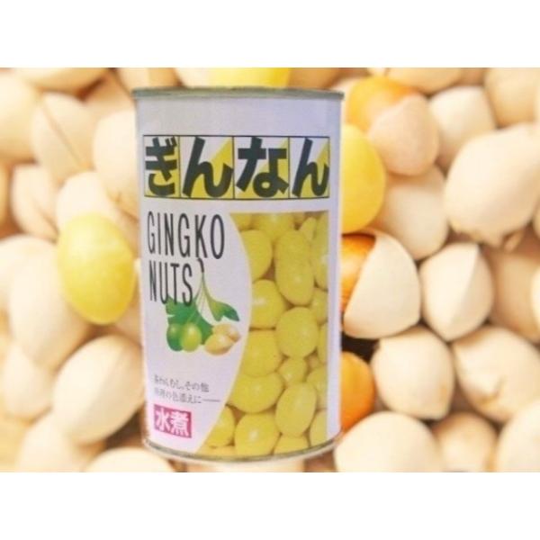 むき ぎんなん 水煮 7号缶 (固形量:約180g 缶込：約370g 剥き