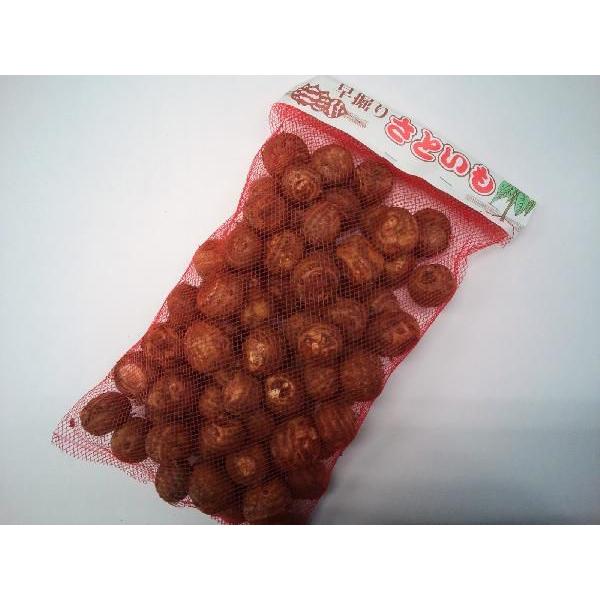 Y  ʂp 1kg (aF2`3cm/  Ƃ TgC ) [①]