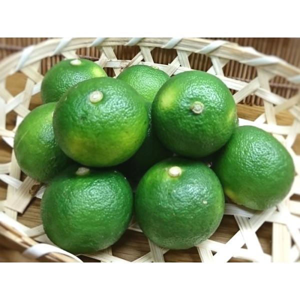 すだち 1kg その他のフルーツの人気商品 通販 価格比較 価格 Com
