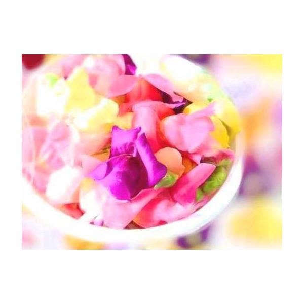 エディブルフラワーミックス( ビオラ パンジー 桜草 金魚草 食用花