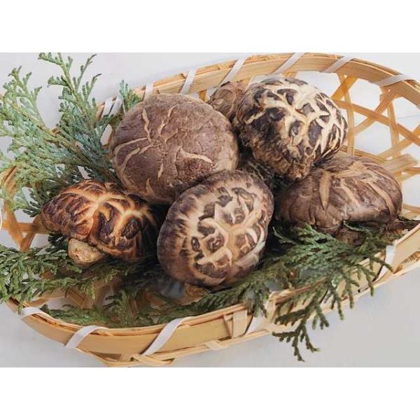 国内産 肉厚どんこ干し椎茸 （原木栽培）100g（干ししいたけ
