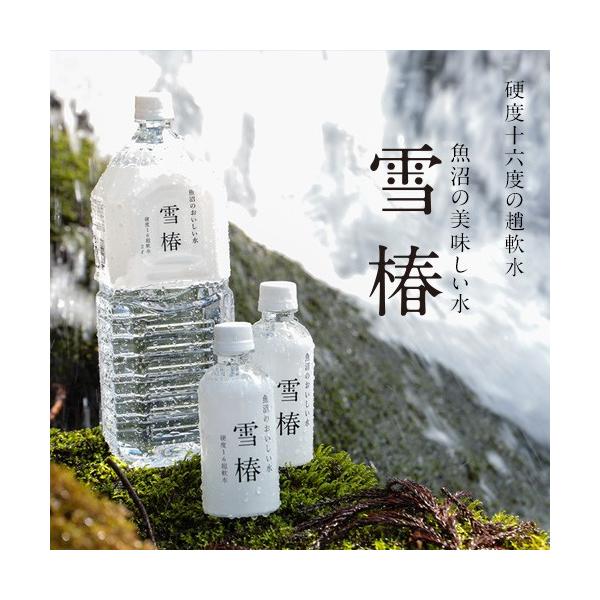 水 ミネラルウォーター 魚沼のおいしいお水 【雪椿水 2L×6本】 「雪椿」 新潟県 水 宅配 持ち運び ペットボトル飲料 超軟水 硬度16 water 健康 美容 軟水