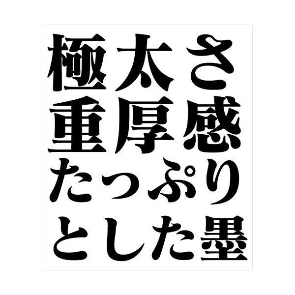 フォントワークス エヴァンゲリオン公式フォント マティスeb セール商品 Truetype版