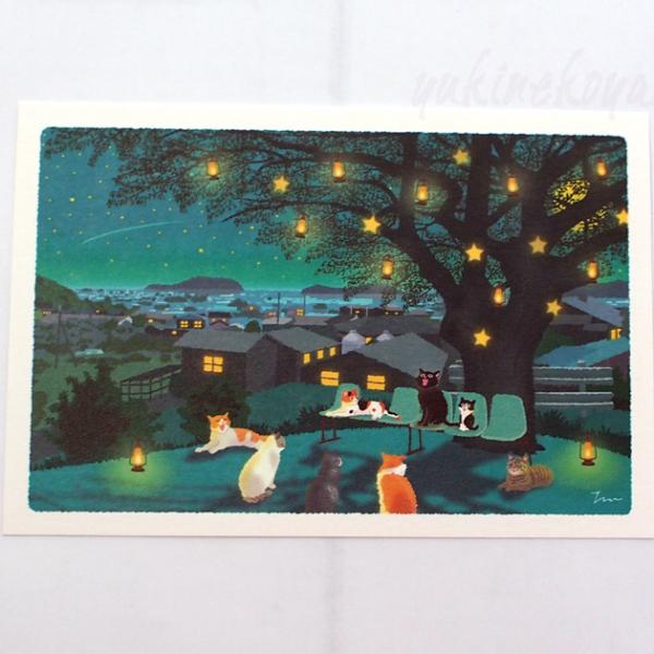 yukinekoya2_actc-pw-621f