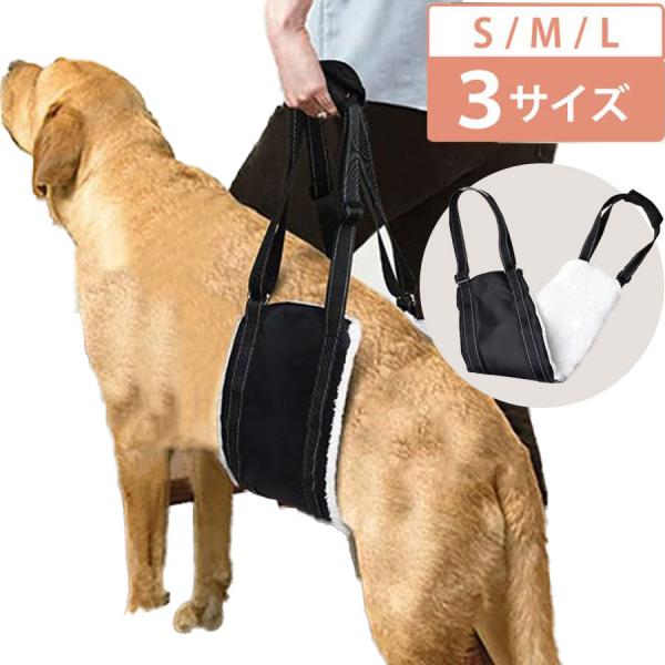 yukino-sizuku_n-harness-1