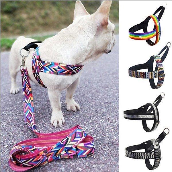 犬 ハーネス おしゃれ 中型犬 大型犬 小型犬 リードセット 可愛い ハーネス 首輪 Sdd 119 Yukinselection 通販 Yahoo ショッピング