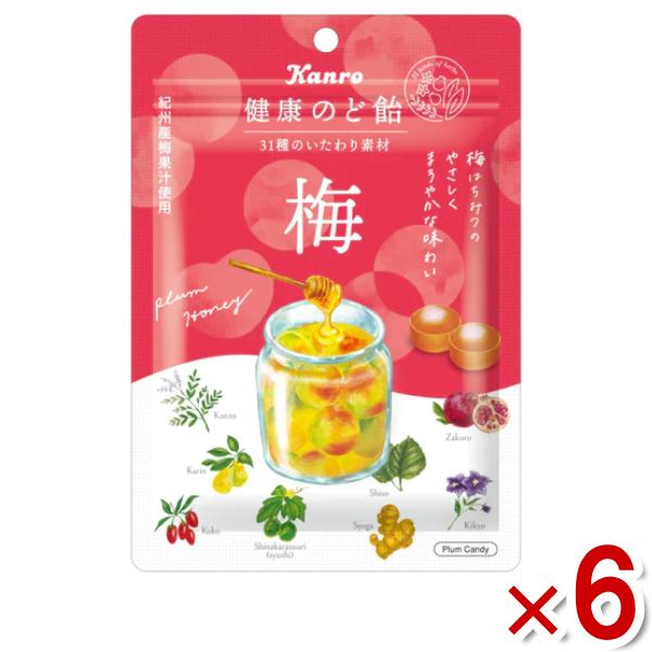 カンロ飴　うめのたん　グッズセット QP:flapper Kanro（カンロ） 健康のど飴 梅 90g×6袋入 (ポイント消化) (np) (賞味