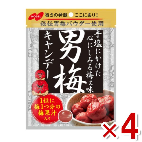 ノーベル 男梅キャンデー 80g×4袋 (熱中症対策 塩分補給 うめ)(ポイント消化) (np-3) (賞味期限2026.6月末) メール便全国送料無料