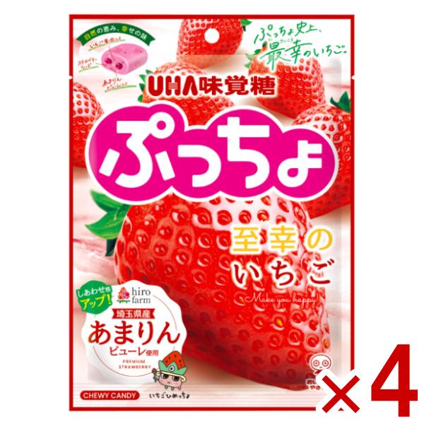 味覚糖 ぷっちょ袋 至幸のいちご 67g×4袋入 (ポイント消化) (np) (賞味期限2028.2月末) メール便全国送料無料