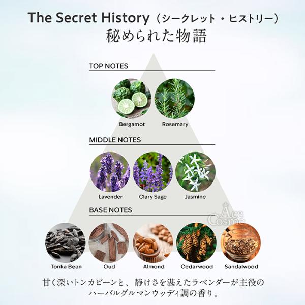 yum-yum_sinn-ssoil_5_d_20250813171312