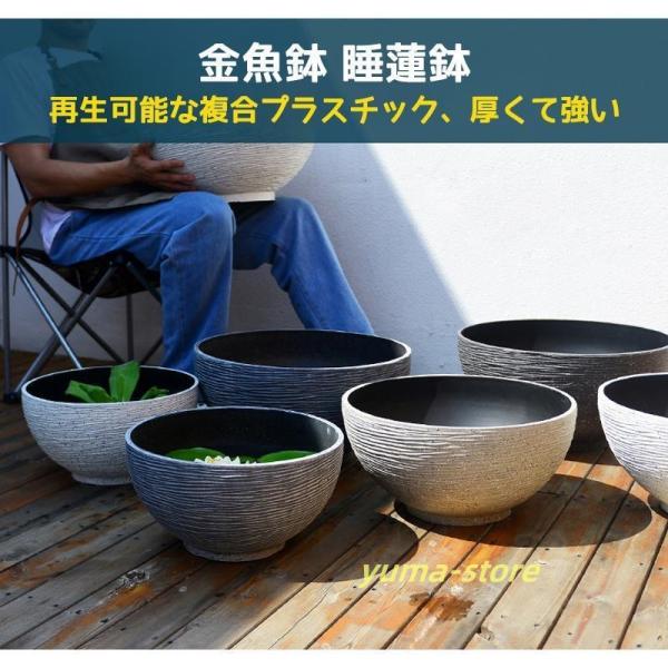其泉造　染錦　大きな鉢　火鉢　金魚　メダカ鉢　睡蓮鉢　径22cm 其泉造 染錦 大きな鉢 火鉢 金魚 メダカ鉢 睡蓮鉢 径22cm 睡蓮鉢