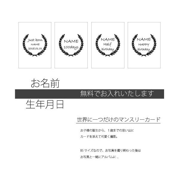 マンスリーカード モノトーン 月齢カード アートポスター 14枚セット 記念日 出産記念 アルバム Buyee Buyee Japanese Proxy Service Buy From Japan Bot Online