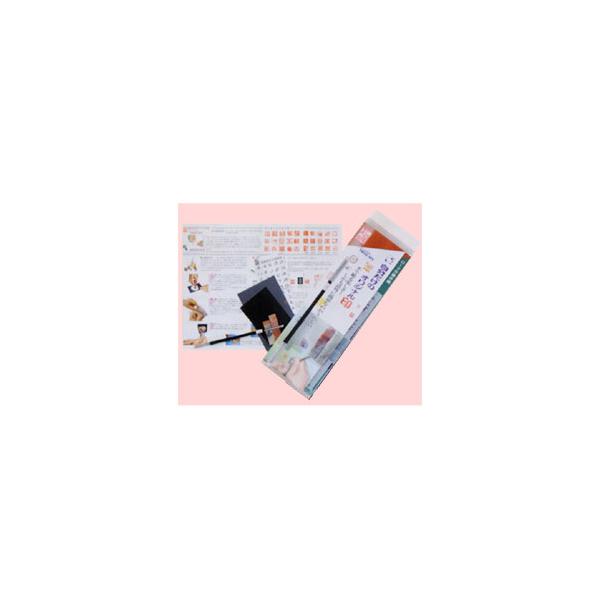 n^ ⽍Zbg gCA p 29336 TRM05 PP nR IWi