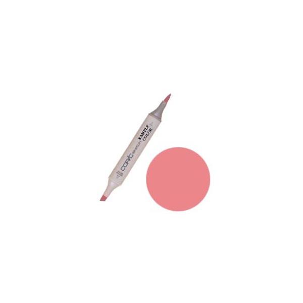 RsbN RsbNXPb` R43 Bougainvillaea