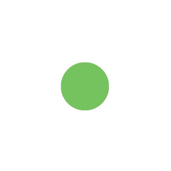 RsbN RsbN`I YG09 Lettuce Green