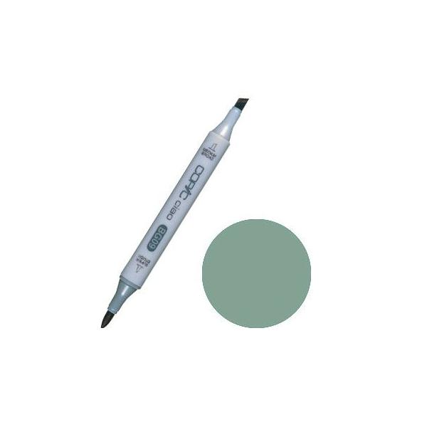 RsbN RsbN`I BG96 Bush