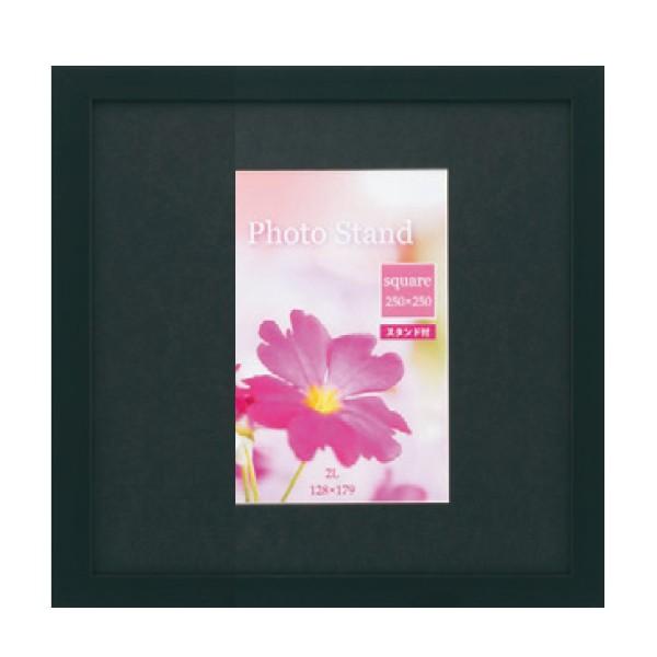 ʐ^ v[k XNGA250p ubN