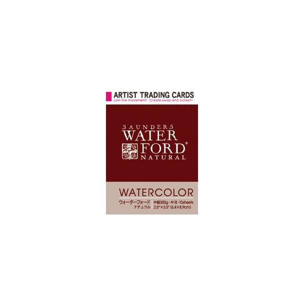 ATC A[eBXg g[fBOJ[h EH[^[tH[hEi` 300g 