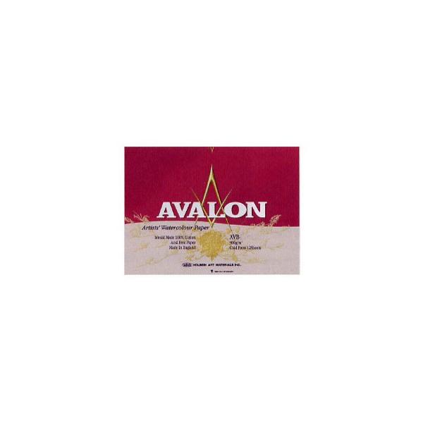 AVALON A@ ʎ Rbg100 300g/m2  ubN F10 (530×455mm) 12Ƃ AVB-F10
