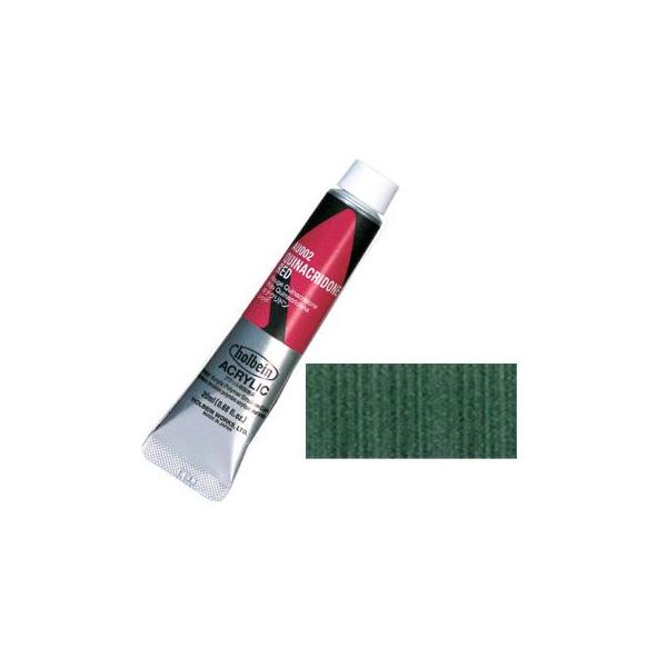 �A�N�����b�N �J���[ (�w�r�[�{�f�B) 20ml 6���`���[�u AU169 �p�[�� �O���[��