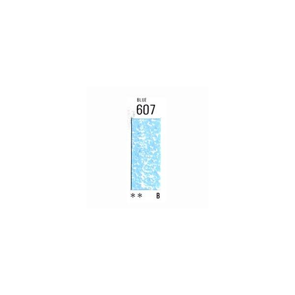 zxC A[`Xg \tgpXe BLUE 607 (3{pbN)