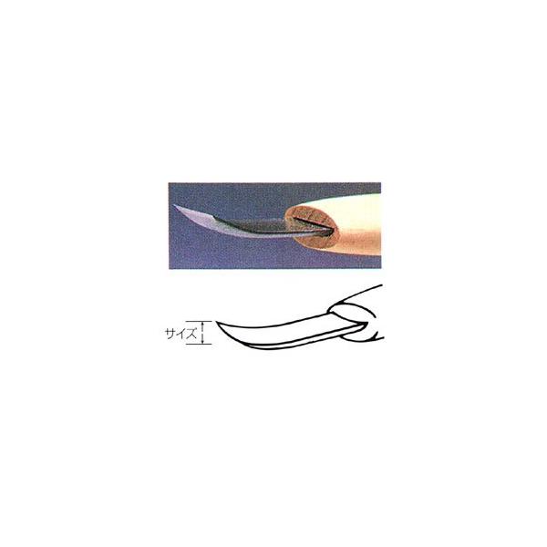  | 1mm J}NȌ^ (ɐۋ)