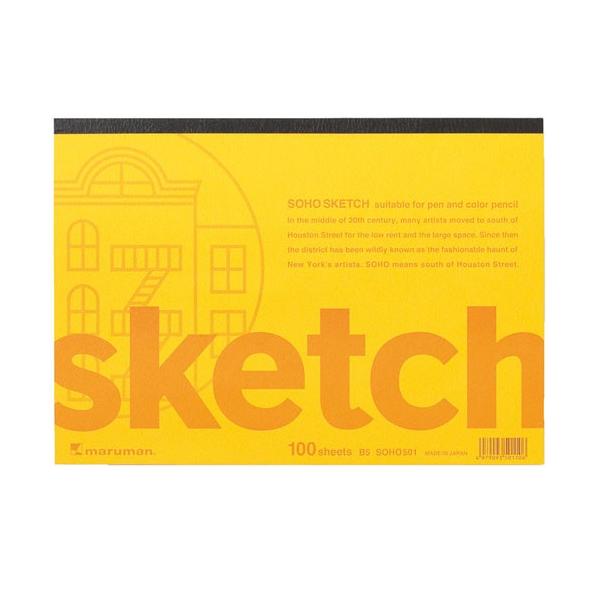 �X�P�b�`�u�b�N �\�[�z�[�V���[�Y B5 100��