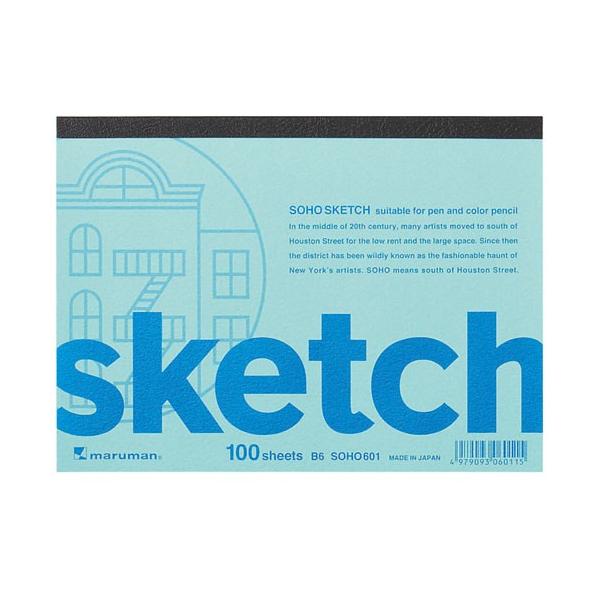 �X�P�b�`�u�b�N �\�[�z�[�V���[�Y B6�ό` 100��