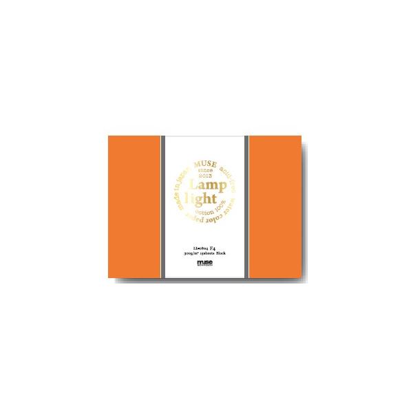 Rbg100Yʎ vCg ubN 300g (15ԂElVЌł) F4