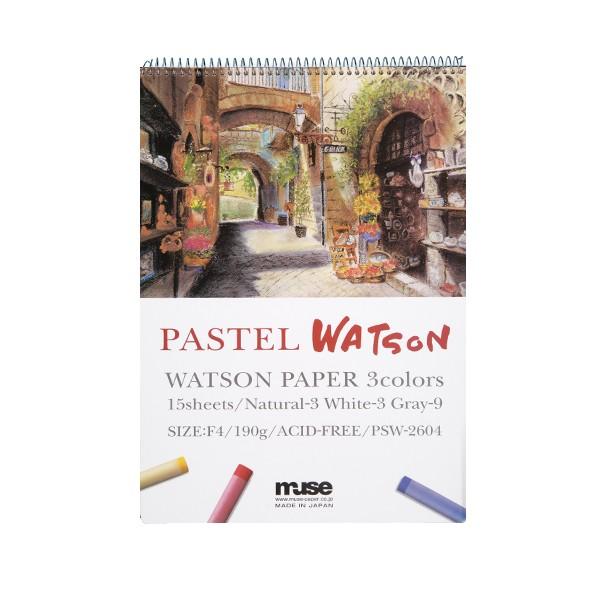 ~[Y pXe pXeg\ubN g\3F 190g ij F4TCY 15Ԃ PSW-2604