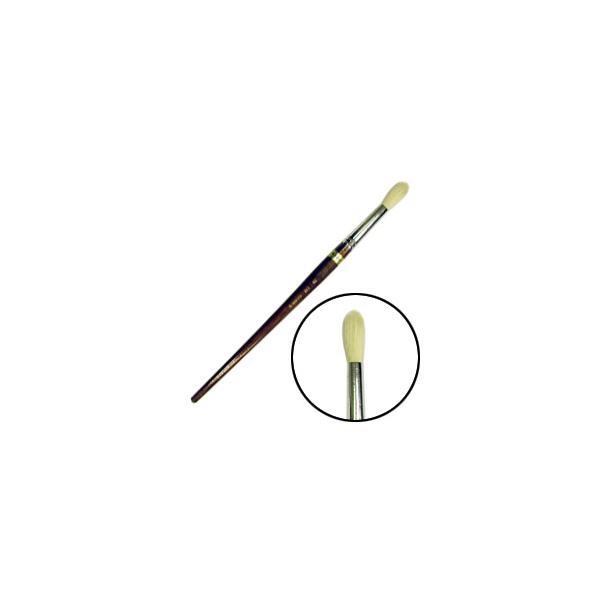 ʕM  ʗp (ؖ) MBR () No.14