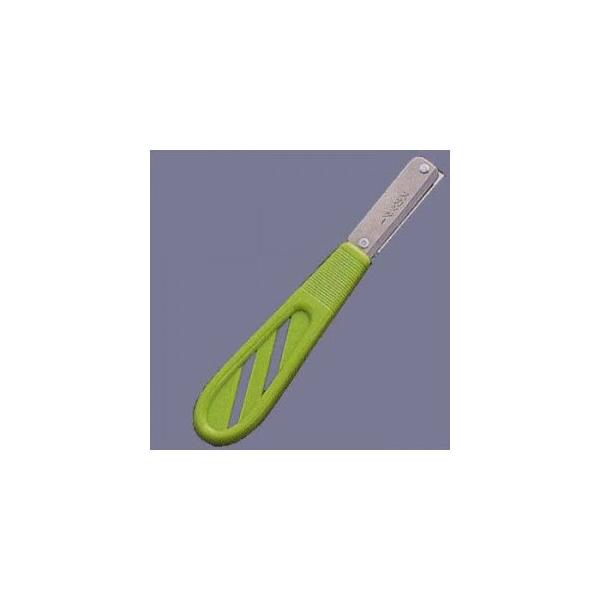 `t K[htSiCt XJb^[ p n