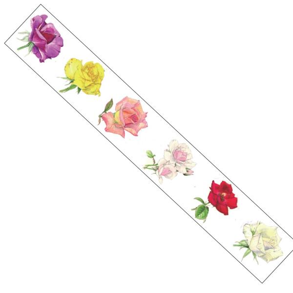 SAIEN ʉ }XLOe[v {^jJA[g o(c) 38mm×5m GR-0003