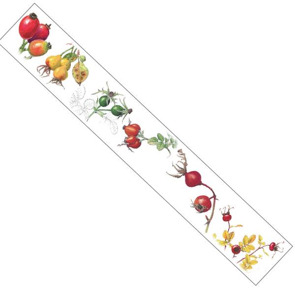 SAIEN ʉ }XLOe[v {^jJA[g o̎ 38mm×5m GR-0015