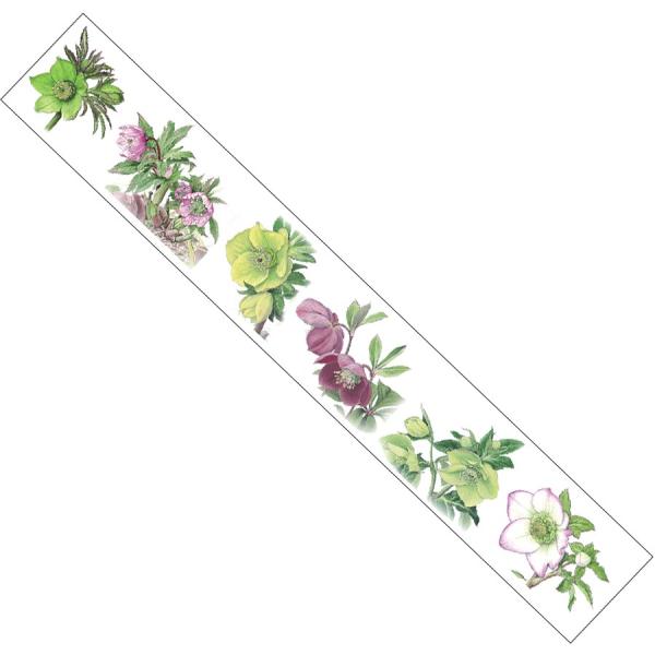 SAIEN ʉ }XLOe[v {^jJA[g NX}X[Y 38mm×5m GR-0018