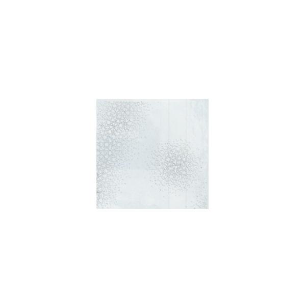 �f���[�^�[�X�N���[�� SE-1001 (10���p�b�N)